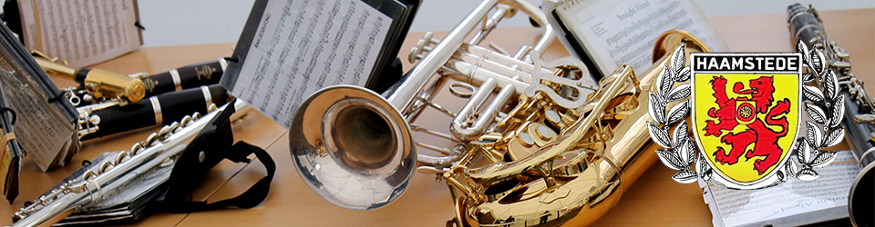Koninklijke Muziekvereniging Witte van Haemstede